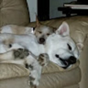 Meet your Posher, Kristin